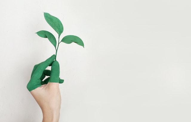 a green gloved hand holding a small green plant