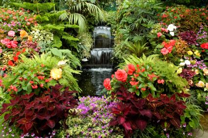 a beautiful garden with waterfall