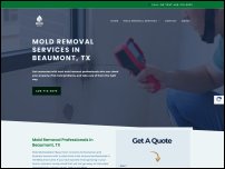 moldremediationbeaumont.com