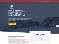 moldremediationshreveport.com