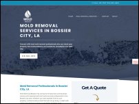 moldremovalbossiercity.com