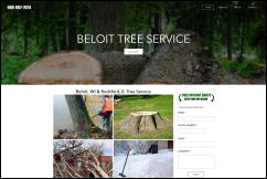 treeservicebeloit.com
